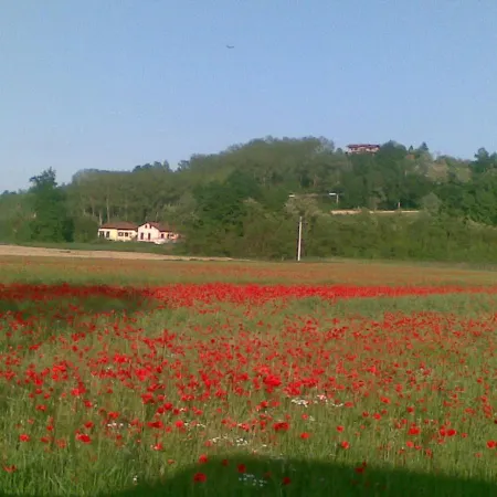 La Raganella * Cantarana