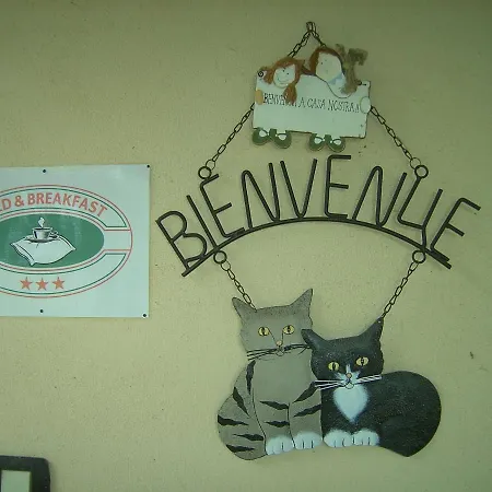Bed & Breakfast La Raganella